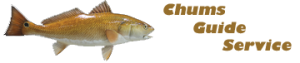 Chums Guide Service - Fishing